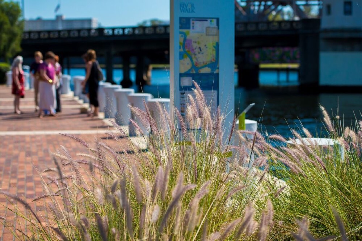 best usa warm weather getaway a perfect weekend in tampa bay