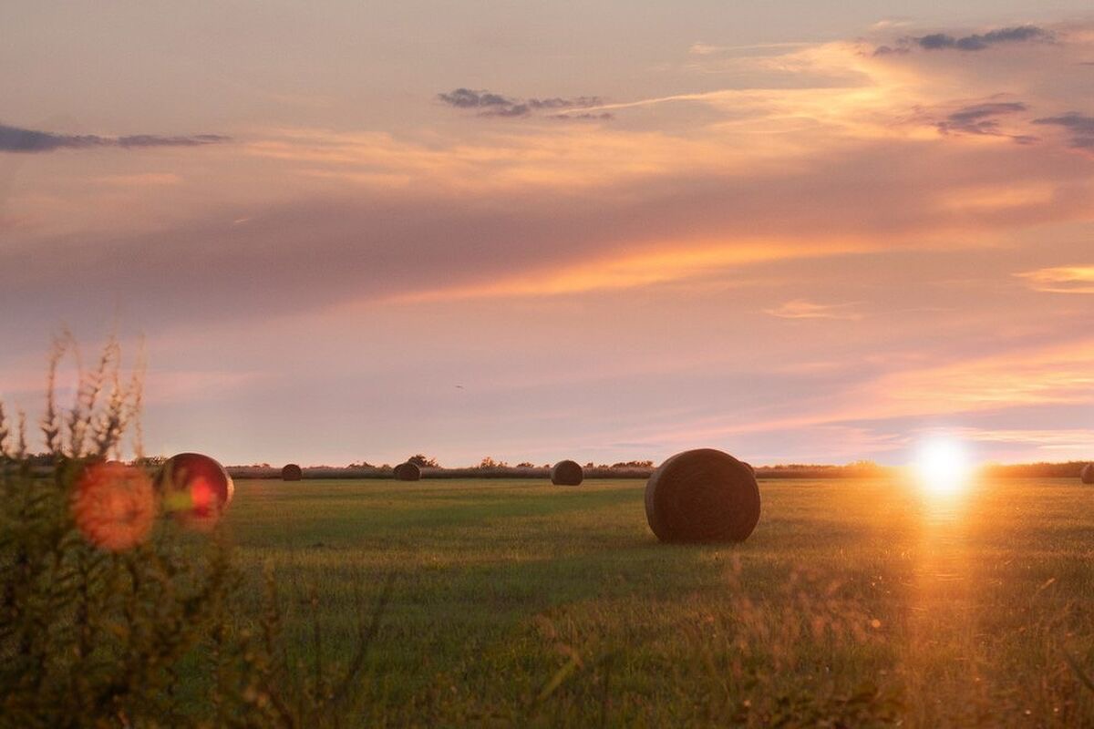 Oklahoma Travel Guide: Discovering the Sooner State