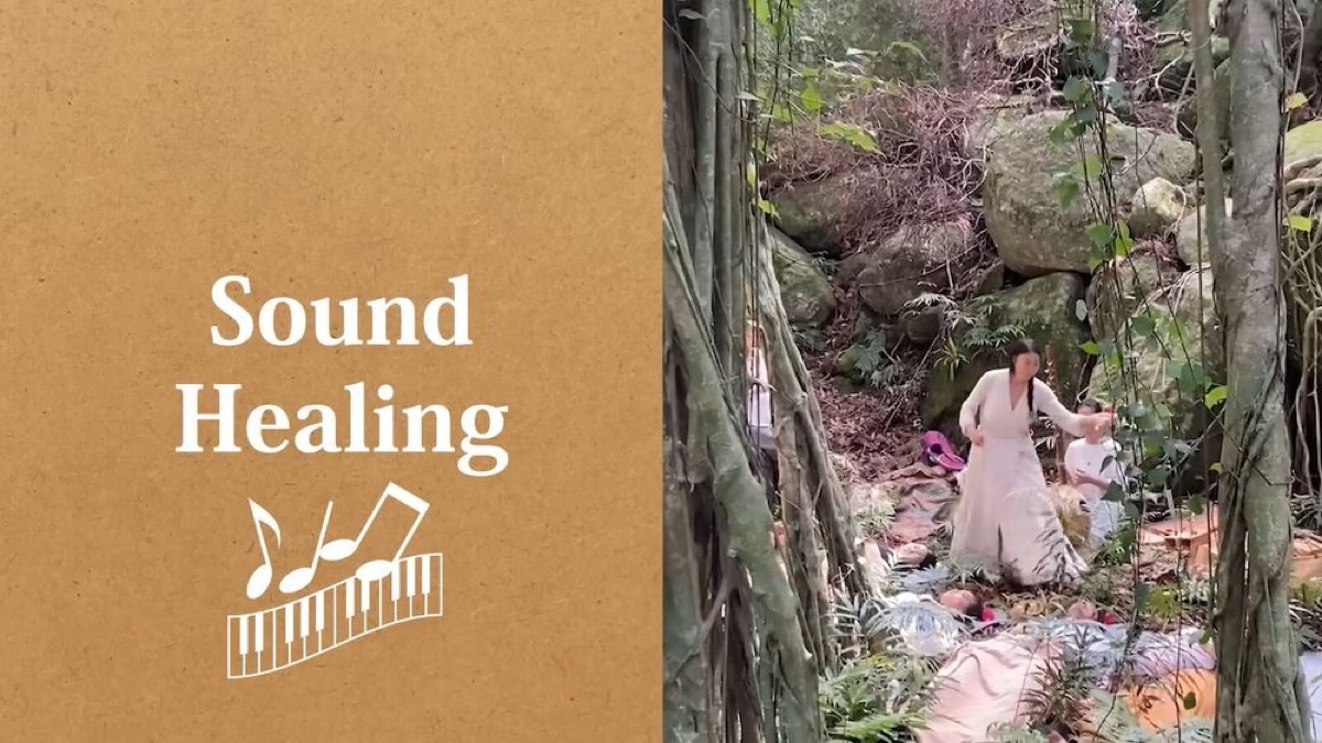 exploring yakushima a journey through japans enchanted island