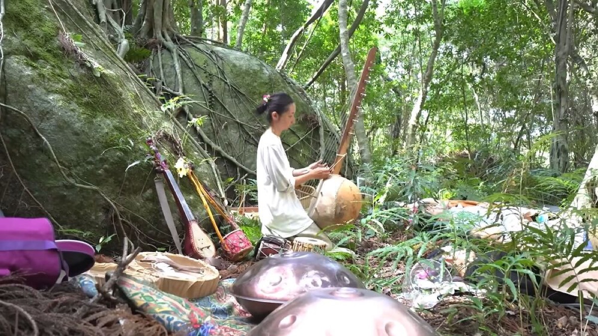 exploring yakushima a journey through japans enchanted island