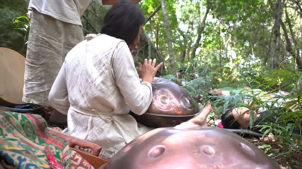 exploring yakushima a journey through japans enchanted island