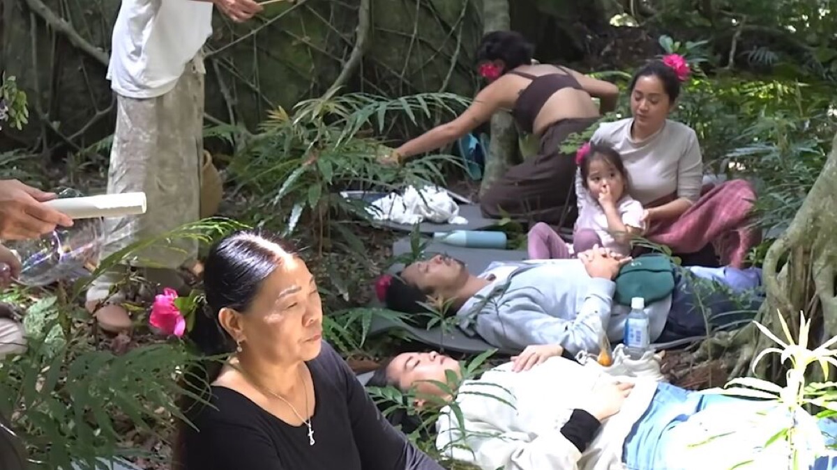 exploring yakushima a journey through japans enchanted island
