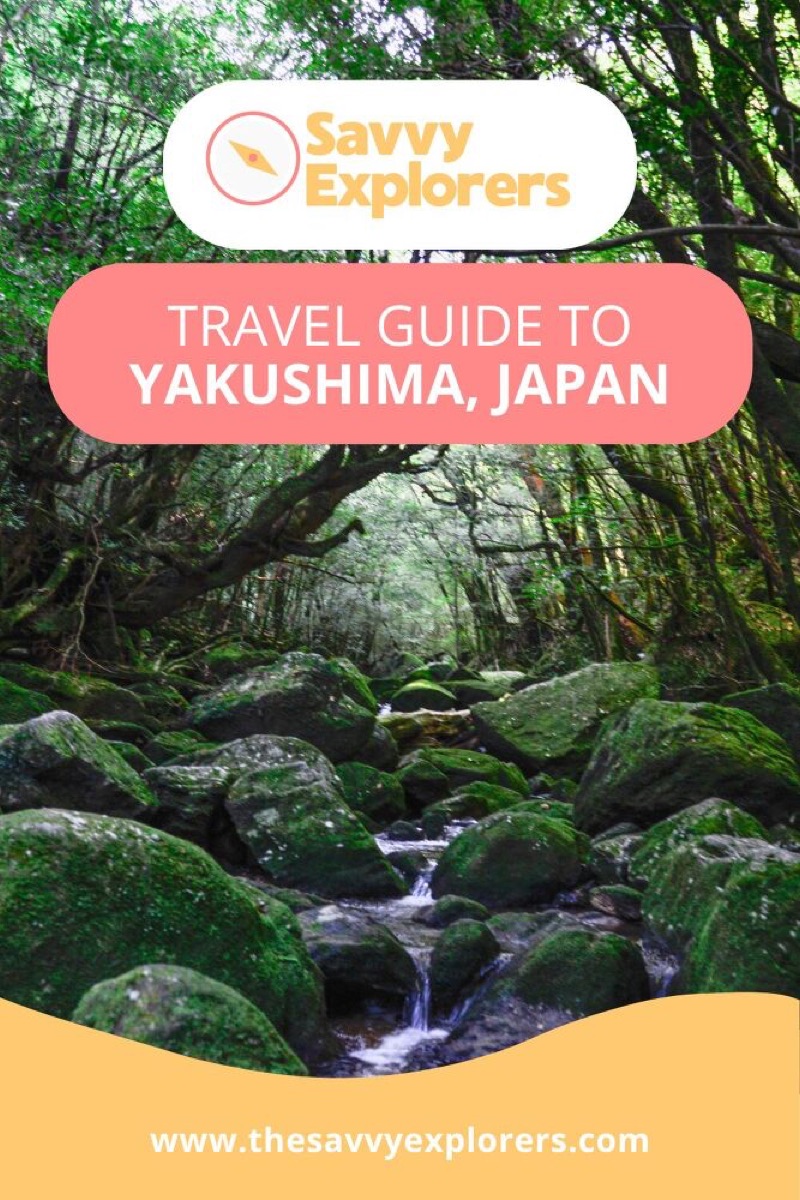 exploring yakushima a journey through japans enchanted island