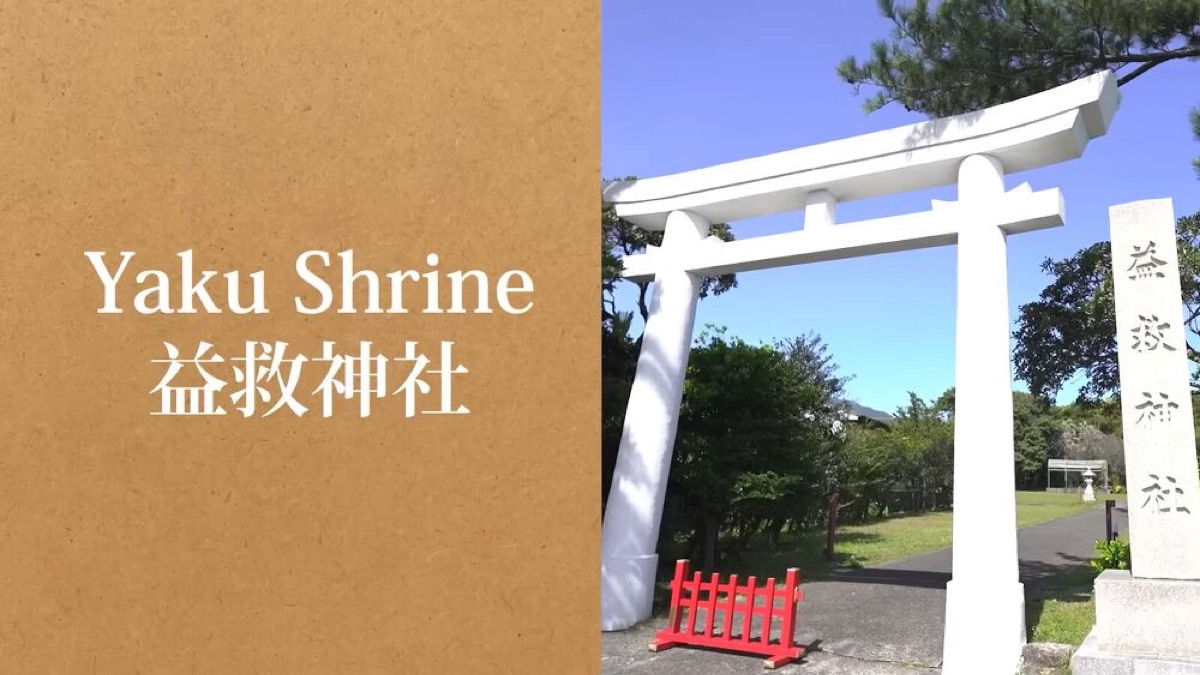 exploring yakushima a journey through japans enchanted island