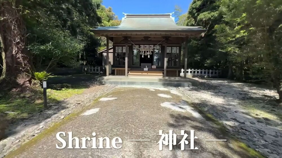 exploring yakushima a journey through japans enchanted island